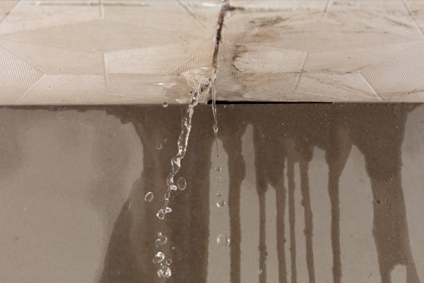 Professional Water Damage Inspection technician working in Elmont, NY